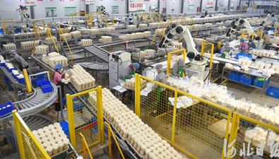 食用菌工厂化种植转型升级，年产鲜品菌菇85000吨