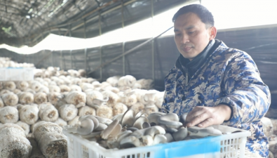 李志辉：加速推进智能化种植基地建设