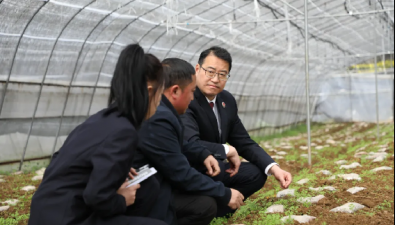 羊肚菌遇天灾绝收，保险公司该不该赔？