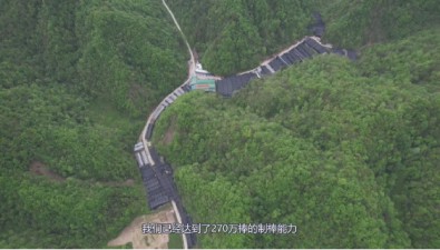 湖北竹山县：2023年食用菌综合产值达25亿元