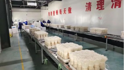 河南辉县：冀屯镇年产食用菌2.25亿公斤