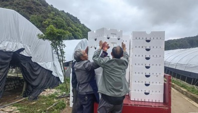 貴州赫章縣：珠市鄉盤活閑置資產做強食用菌產業