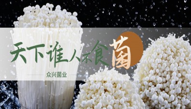 众兴菌业主要业务
