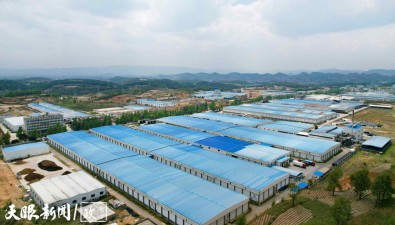威寧雪榕生物：計劃新建年產2億菌棒的食用菌基地