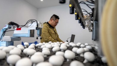 上海市靜安區(qū)：實(shí)現(xiàn)食用菌智能機(jī)械化采摘