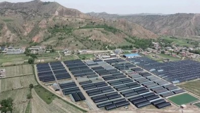 甘肃东乡县：榆黄蘑、黑木耳陆续采收