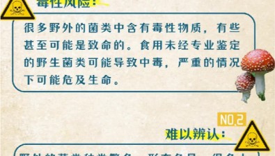 鮮美的菌子怎么吃才安全？