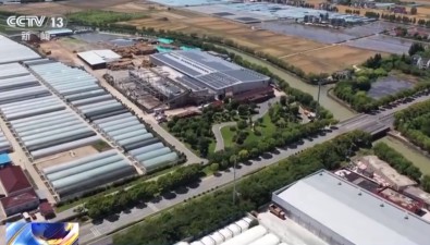 智慧、省力、高產！這座蘑菇工廠讓外國客商驚嘆