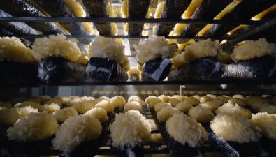 福建古田：食用菌成为撑起农户增收致富天地的大产业