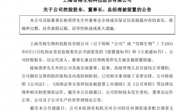 雪榕生物董事長楊勇萍被留置