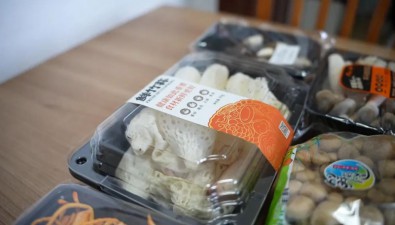 上海奉贤：致力于推广野生食用菌的人工栽培技术