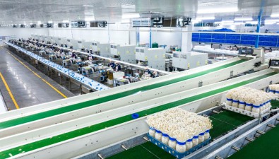 《重慶食用菌產業發展戰略研究》發布，食用菌發展勢頭迅猛
