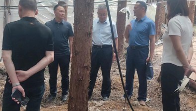 貴州畢節(jié)：打造夏季林下網(wǎng)格平菇立體種植基地