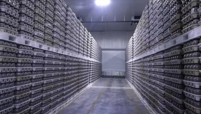 價(jià)格差+現(xiàn)代化！匯菇源將投資4000萬(wàn)元，在奧克蘭建食用菌基地