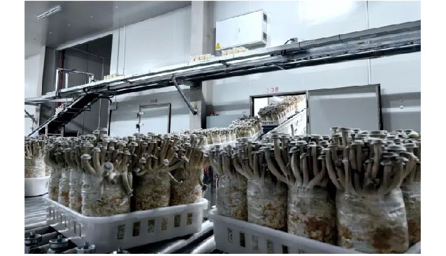 鴻升生物申請新三板掛牌，掛牌股份總量為31,168,800股