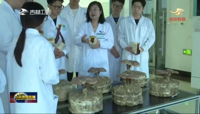 “蘑菇院士”李玉：全力打造國際一流菌物學(xué)科
