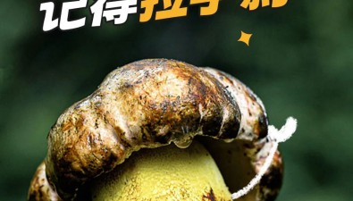 “菌駕”違法嗎？解答來了→