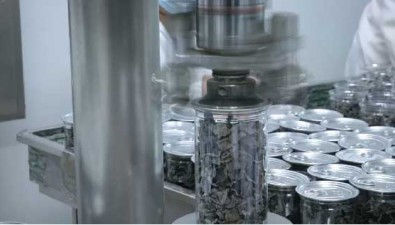 龍江綠銘農業：2025年計劃生產菌包300萬袋