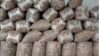 聚福菌農業：精深加工產品今年出口額達1.5億元
