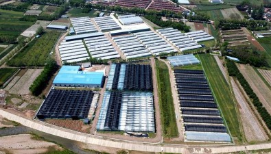 甘肅清水縣：鏈條化拓展，加快食用菌產業園建設