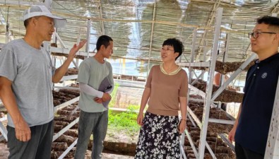 香菇栽培出現(xiàn)不出菇、爛棒等問題，如何解決？
