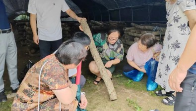安徽黃山：屯溪區(qū)開(kāi)展食用菌產(chǎn)學(xué)研觀摩活動(dòng)