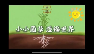 小小菌草，造福世界