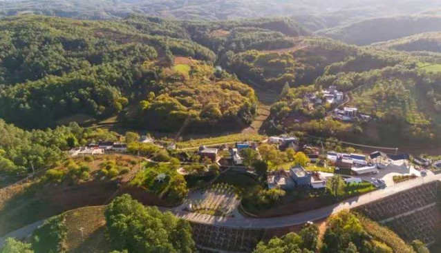 云南祿勸縣：新山村試種灰虎掌菌，年產(chǎn)值約36萬元