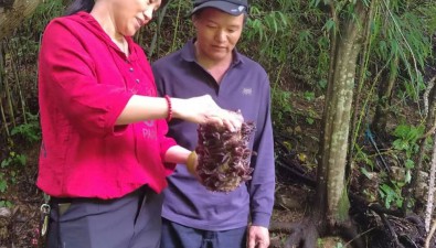 李玉梅：借“智”生“蛋”，做強(qiáng)食用菌“芯片”
