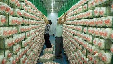 安徽潛山黃柏鎮：10個“智慧方艙”成了“黃金屋”