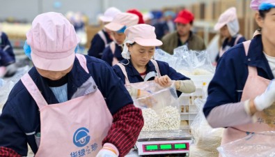 重慶市萬盛綠水村建加工廠解決菌渣問題