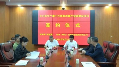 甘肅合水：食用菌撐起鄉(xiāng)村振興“致富傘”