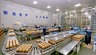 重慶萬盛：童話般的村落，竟是西南單體最大食用菌基地