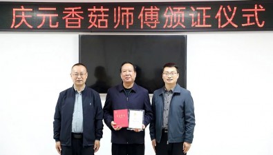 全國(guó)首創(chuàng)，食用菌人才“互認(rèn)”！“慶元香菇師傅”異地發(fā)證