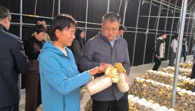 北京综合试验站组织召开珍稀食用菌现场观摩交流会
