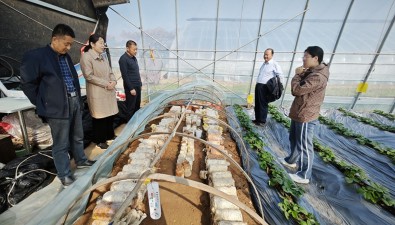 家庭农场试种多种食用菌成功，增收再添新希望