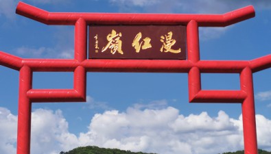 漫紅嶺林下榛蘑種植園區：預計產出鮮品9000公斤，年收益達15萬元