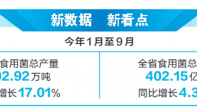 102.92萬噸、402.15億元！云南食用菌產(chǎn)業(yè)質(zhì)效雙升