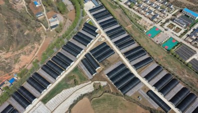 甘肃漳县武当乡：投资700多万元建菌菇基地，带动群众增收