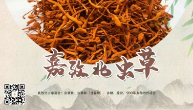 嘉致農業：科技創新蟲草產品，引領健康未來