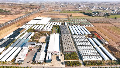 新美潤種植合作社：“五統一”模式，帶動1200多戶村民種菇