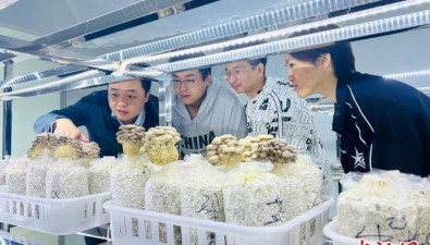 湖南首個食用菌專業助力千億產業