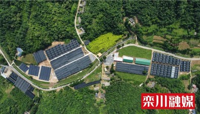 河南欒川有一處“蘑菇王國”