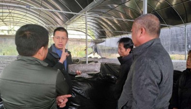 福建永春：“理論課堂+田間實訓”助力食用菌產業提質增效