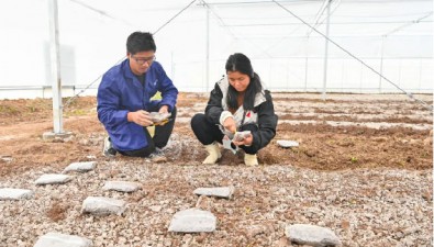 萬旺生物：打造高科技食藥用菌工廠化企業