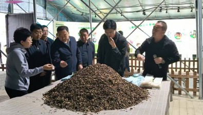 食用菌科普研學基地社會效益、經(jīng)濟效益雙提升