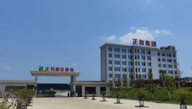 正和农业：日产菌棒6-10万棒，出口13个海外地区