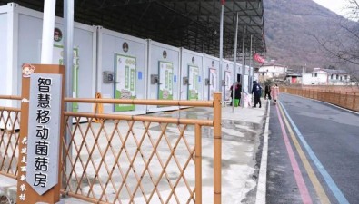 四川泸定：小菌菇“入住”智慧房，助农增收