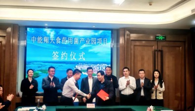 中能国新集团食药用菌产业园项目落户湖北老河口市