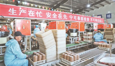 黑龙江双鸭山：菌包生产线有序运行